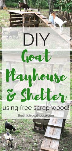 the diy coat, playhouse and shelter using free scrap wood is great for dogs