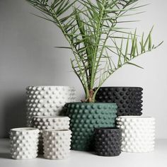 a potted plant sitting on top of a table next to other pots and containers