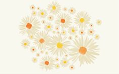 a bunch of flowers that are in the middle of a white background with orange and yellow centers