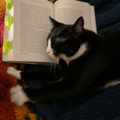 a black and white cat laying on top of an open book