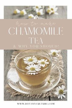 a cup of chamomile tea with daisies on the side and text overlay