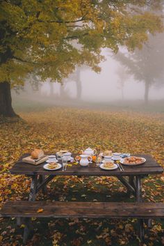 a picnic table with food on it in the middle of leaves covered ground and trees