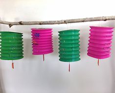 three green and pink paper lanterns hanging from a tree branch in front of a white wall