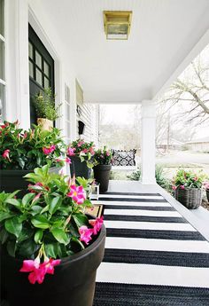 some potted plants are sitting on the front porch with black and white checkered rug