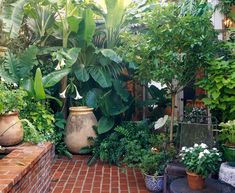 a brick patio with potted plants and chairs