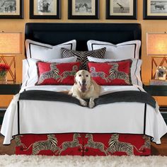 a dog laying on top of a bed in a room with zebras and red pillows