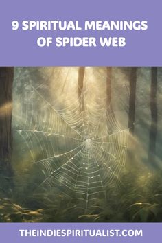 Peek into the 9 spiritual meanings of spider webs, uncovering messages from beyond and insights on life’s labyrinthine journey.