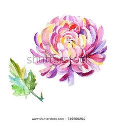 a watercolor painting of a pink flower with green leaves