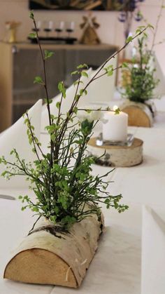 the table is set with candles, branches and greenery in vases on wood slices