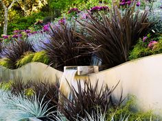 an outdoor garden with various plants and flowers in the foreground, along side a concrete wall