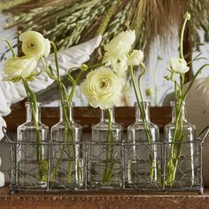 white flowers in glass vases sitting on a shelf