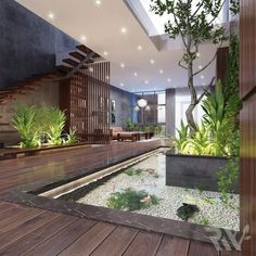 the interior of a modern house with plants and rocks on the floor, as well as a fish pond