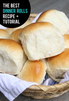 the best dinner rolls recipe and how to make them