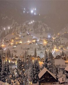 a ski resort at night covered in snow and lit up by street lights with trees on the slopes