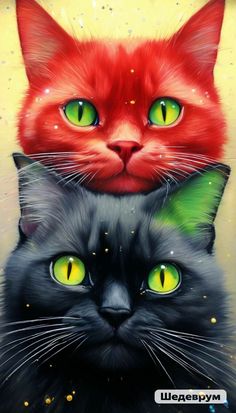 two black cats with green eyes and one red cat's head in the background