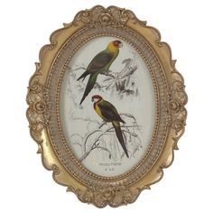 two birds sitting on top of a tree branch in a gold framed painting with white background