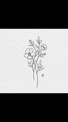 some flowers that are on the side of a white paper with black lines in it