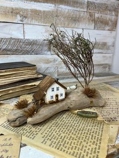 a small house is sitting on top of a tree branch with some branches growing out of it