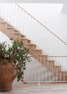 a potted plant sitting in front of a stair case