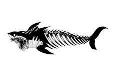 a fish skeleton with an open mouth and large teeth on it's back side