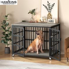 a dog sits in its cage on the floor