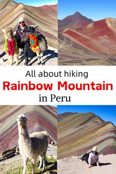 rainbow mountain in peru with people and llamas