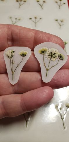 two tiny white flowers are in the palm of someone's hand