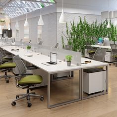 an office with green chairs and plants on the walls, along with white desks