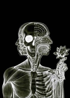 the skeleton is holding a flower in its hand and looking at it's face