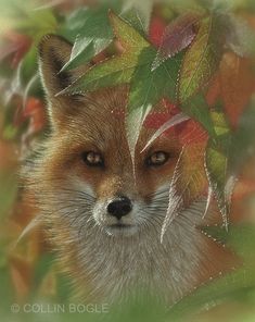 a close up of a fox with leaves on it's head