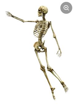 a skeleton is flying through the air with its arms outstretched and legs spread out,