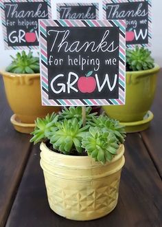 there are three potted plants with thank you for helping me grow signs on them