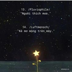 there is a star in the sky with words above it that read,'13 / pluvrophile / na