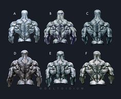 six different views of the back and upper body muscles, each with an individual's torso