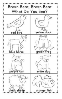 the brown bear and other animals worksheet