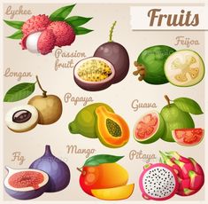 fruit set with names and pictures