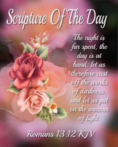 a pink rose with the words, scripture of the day