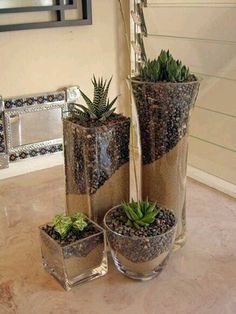 two glass vases with succulent plants in them