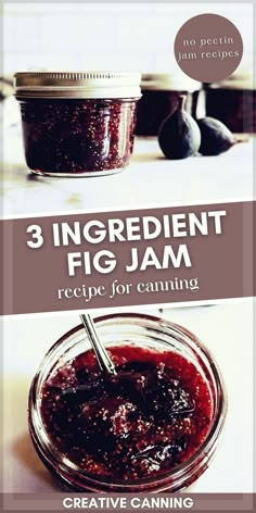 three ingredient fig jam recipe for canning