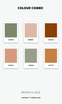 four different shades of brown, green and beige are shown in the same color scheme