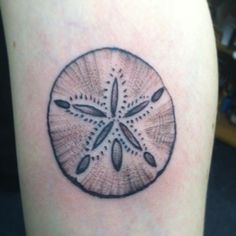 a sand dollar tattoo on the leg