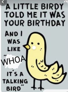 Sarcastic Happy Birthday, Sarcastic Birthday Wishes, Sarcastic Birthday