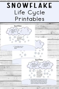 the snowflake life cycle printables are shown in three different colors and sizes