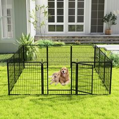 a dog laying in the grass inside of a large black pet pen on top of green grass