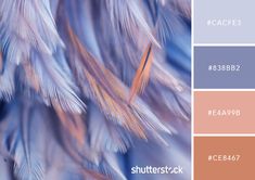 the color scheme is blue, pink and grey with some orange feathers on top of it