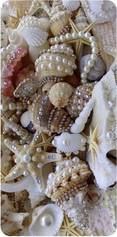 sea shells and pearls are piled together