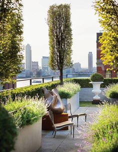 an outdoor seating area with trees and plants in the foreground, overlooking a cityscape