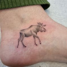 Moose Tattoo, modern moose tattoo, simple moose tattoo, moose tattoo ideas, geometric moose tattoo, small moose tattoo, traditional moose tattoo, feminine small moose tattoo, realistic moose tattoo, moose tattoo simple, moose tattoo designs, laurdiy moose tattoo, cute moose tattoo, moose tattoo small, tiny moose tattoo, outline small moose tattoo, minimalist moose tattoo, cartoon moose tattoo, small black moose tattoo, small simple moose tattoo, cute moose tattoo small, bull moose tattoo Simple Wildlife Tattoo, Fine Line Moose Tattoo, Moose Outline Tattoo, Simple Moose Tattoo, Moose Tattoo Men, Moose Tattoo For Women, Moose Antler Tattoo, Wyoming Tattoo, Moose Tattoos