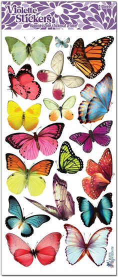 the butterflies are all different colors and sizes, but there is no image to describe