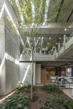 the interior of a building with tables and chairs under a glass roof that overlooks an outdoor courtyard